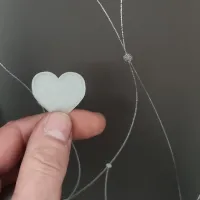 Heart-2