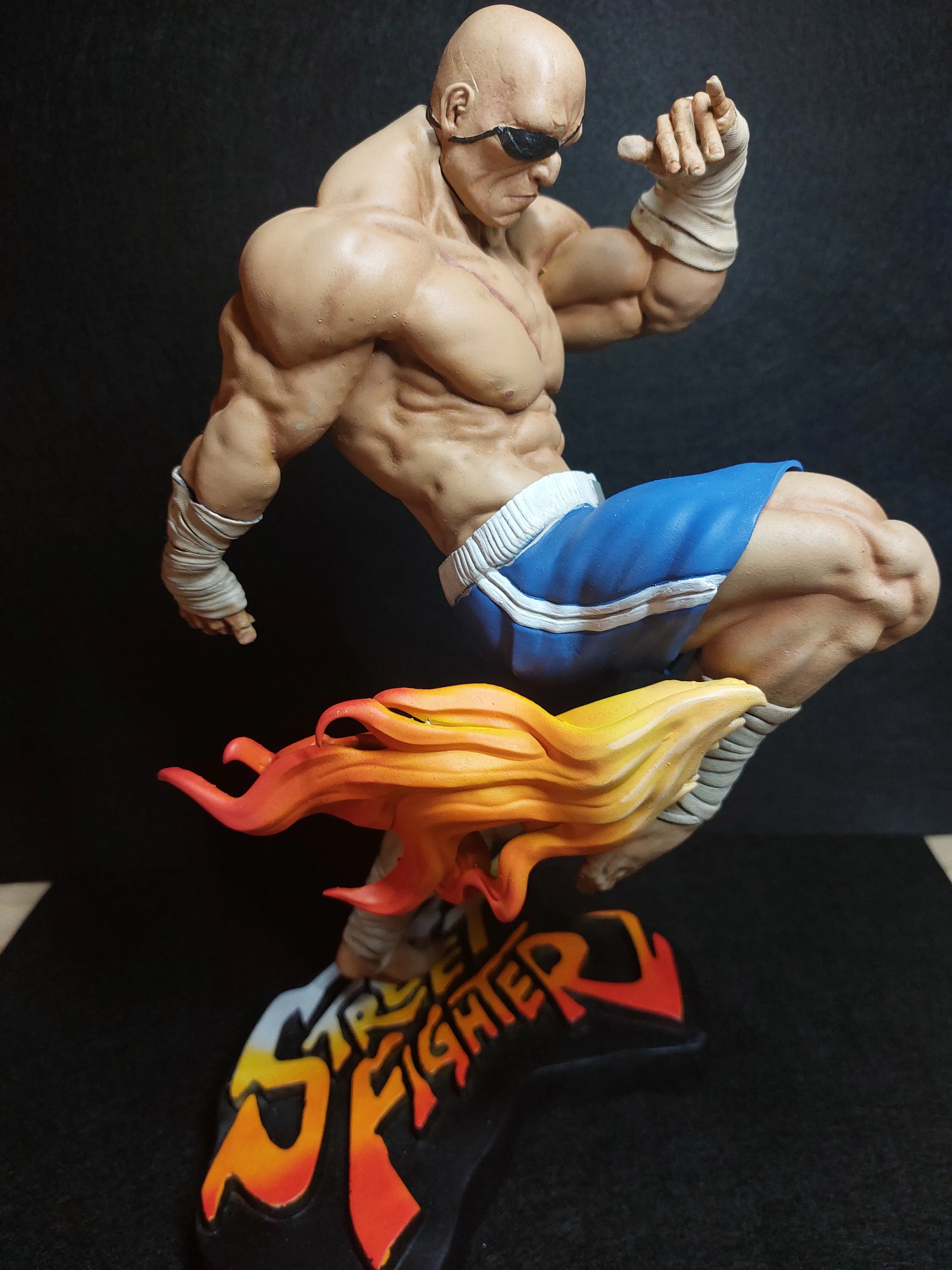 Sagat FanArt (1/6 scale)-3