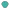 vazo