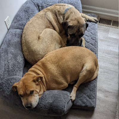 avatar of Xavior Stansberry