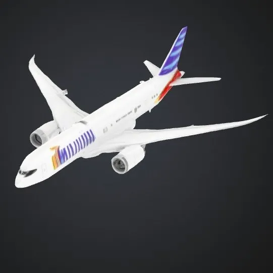 Boeing 787-8 Private Jet 