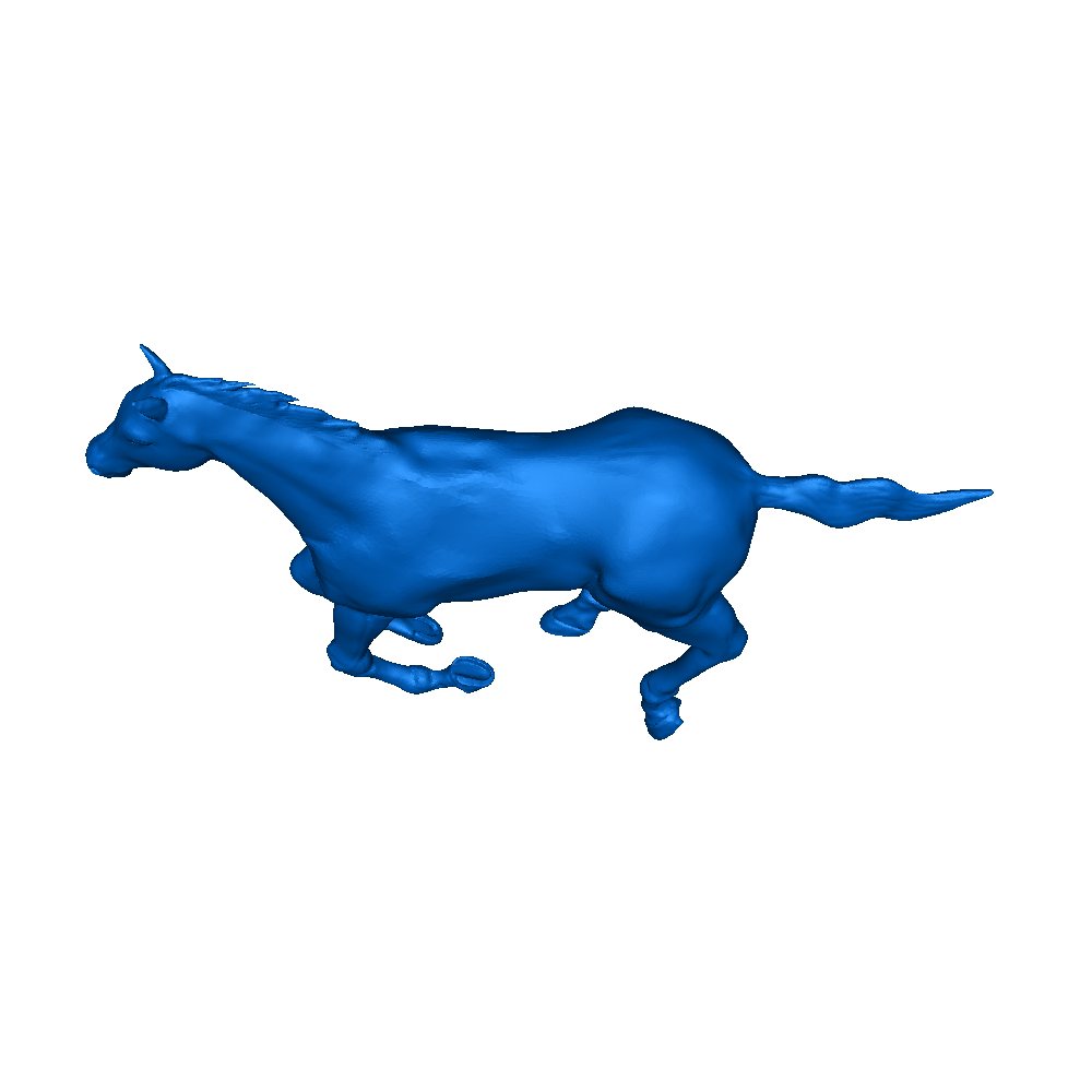 horse