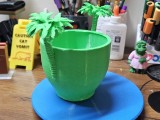 Pot -4