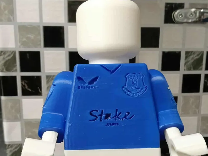 Everton FC lego like man