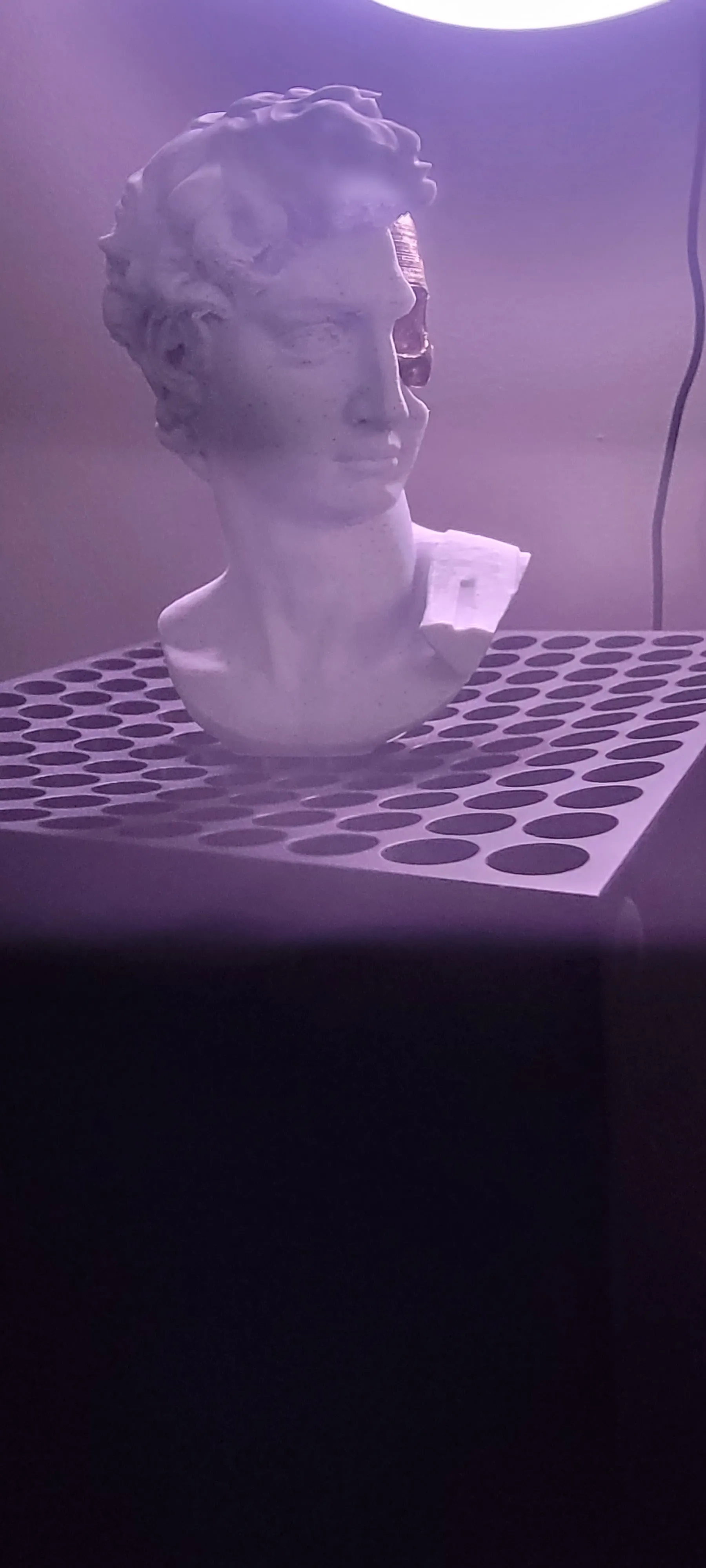 David's Cranium-0