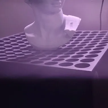 David's Cranium-0
