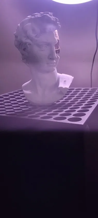 David's Cranium-0