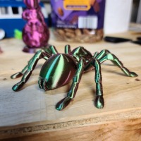Tarantula Spider-4