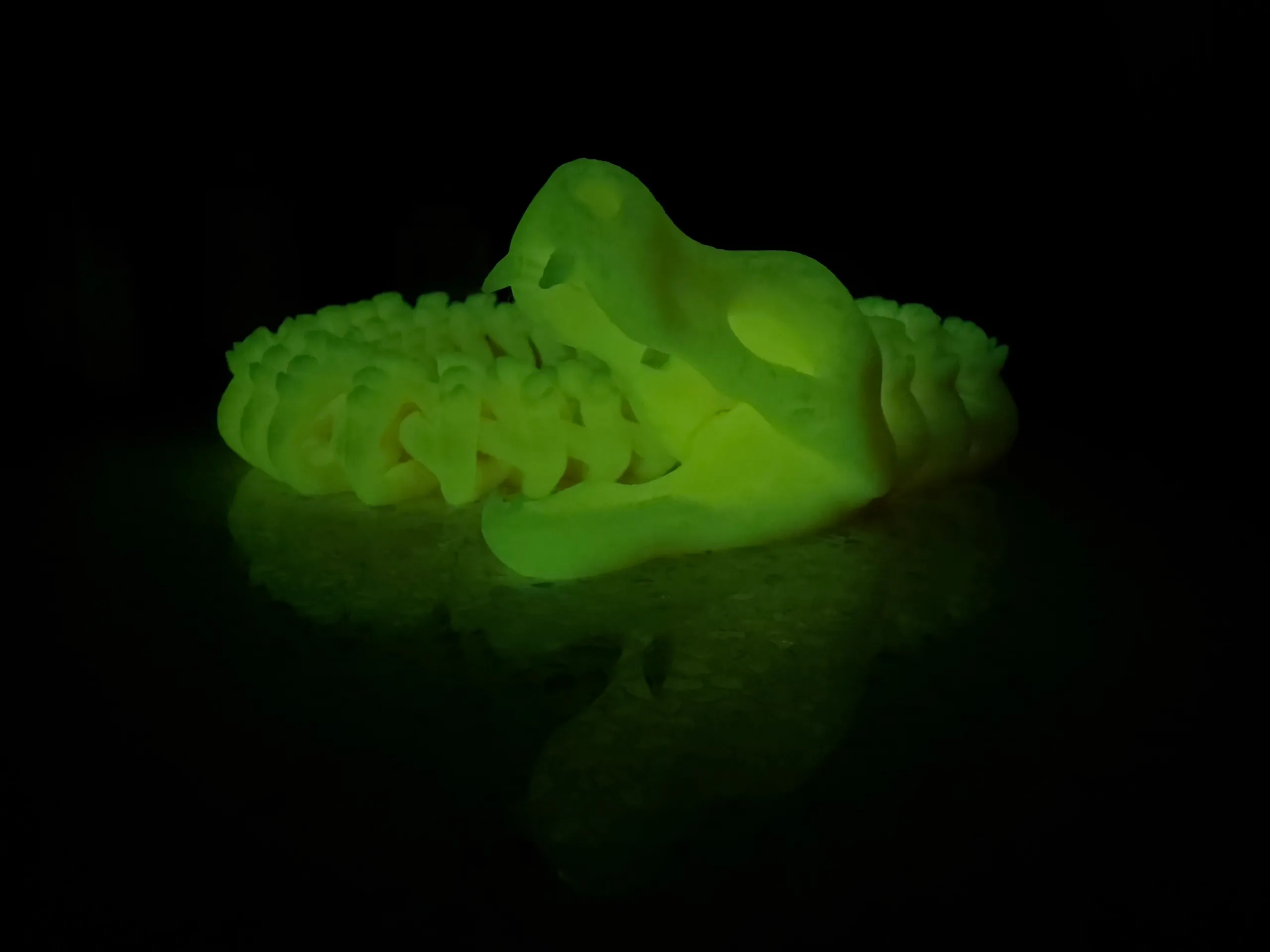 Articulated Skeleton Snake-3