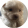 avatar of ManuelV12