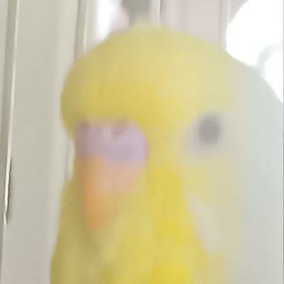 avatar of iantheguy