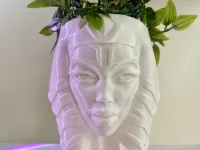 AHSOKA FLOWER POT-STAR WARS-6