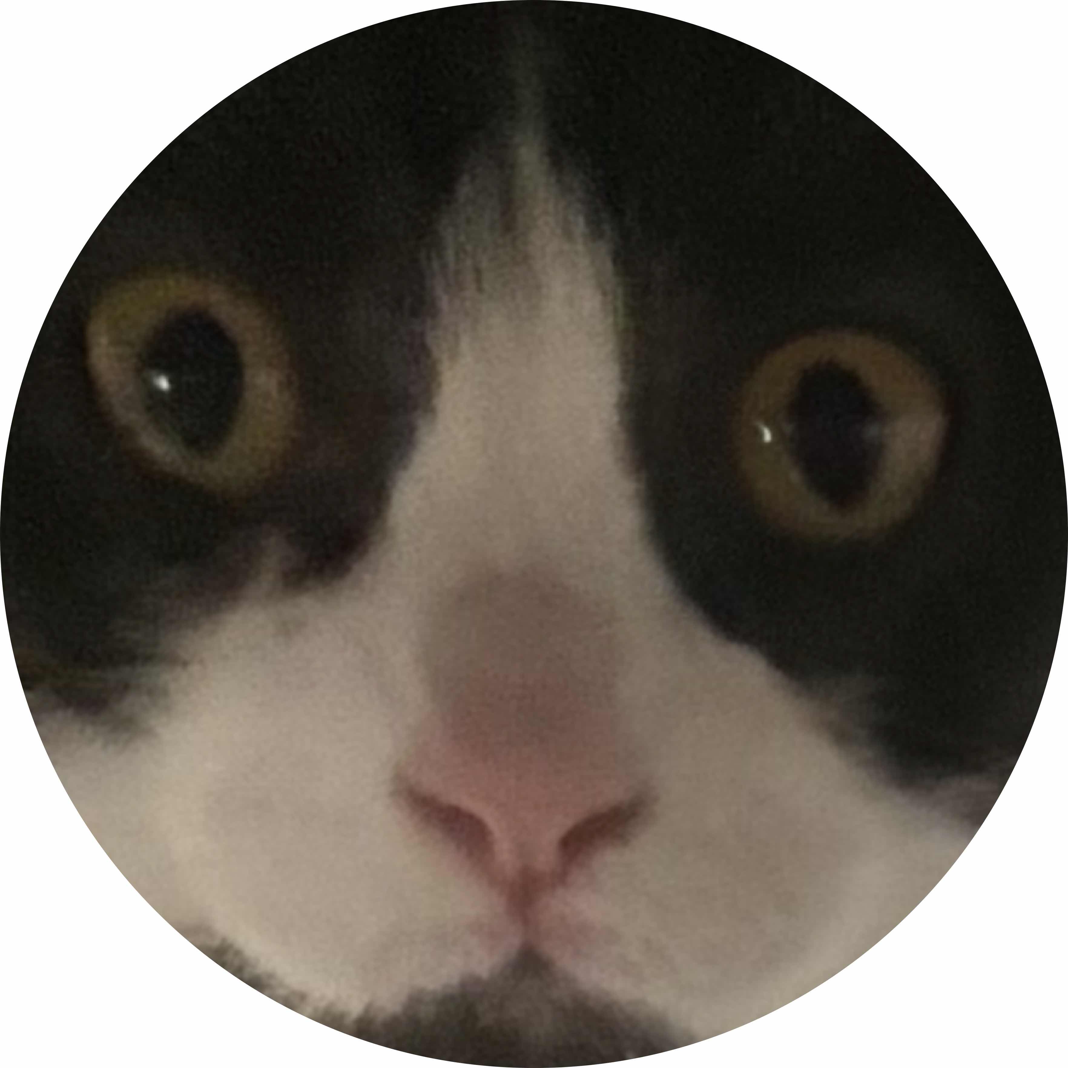 avatar of Kciwdahc