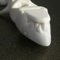 Articulated Shark-2