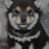 avatar of user6056522208