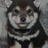 avatar of user6056522208