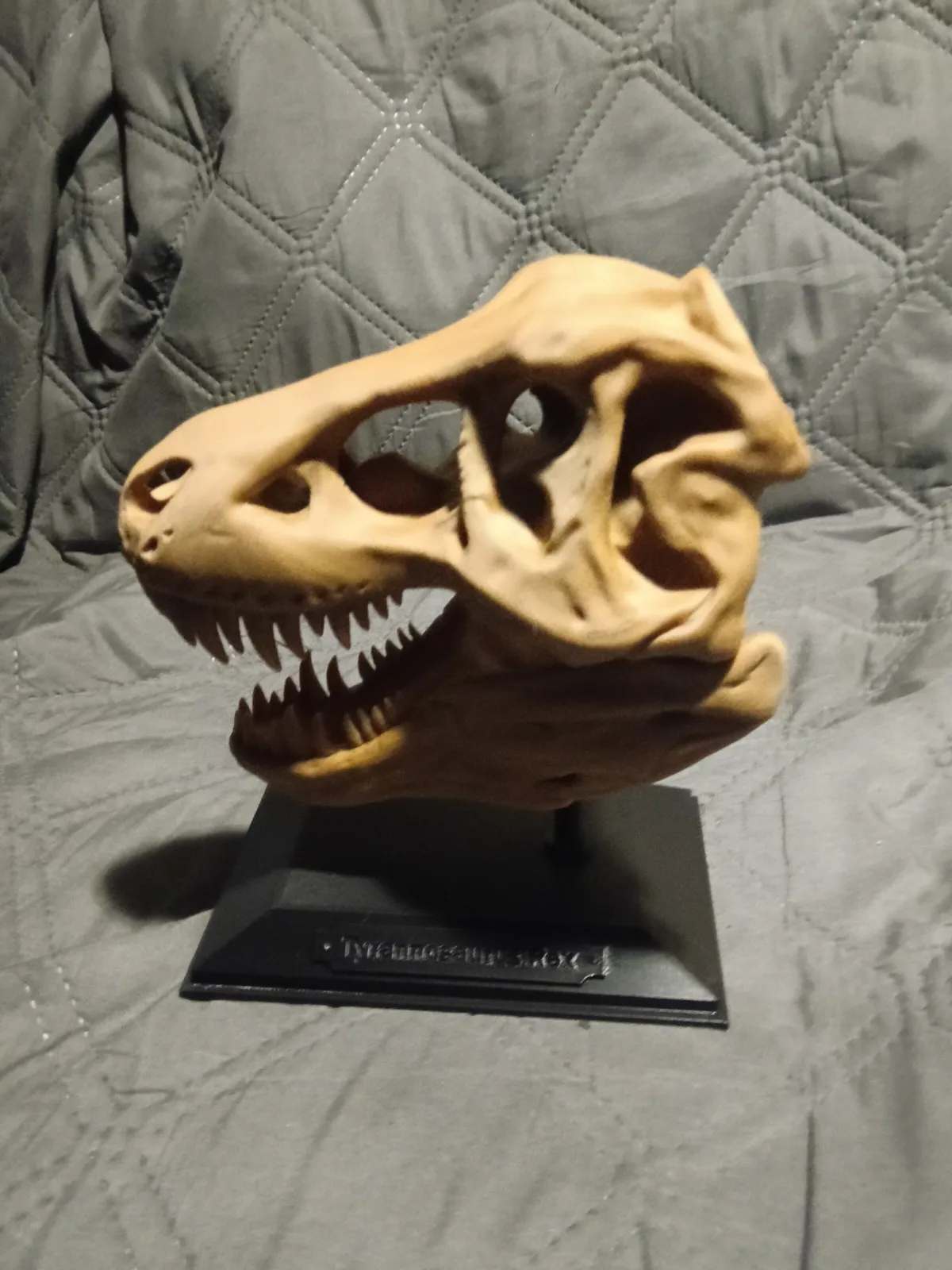 T-Rex Skull-1