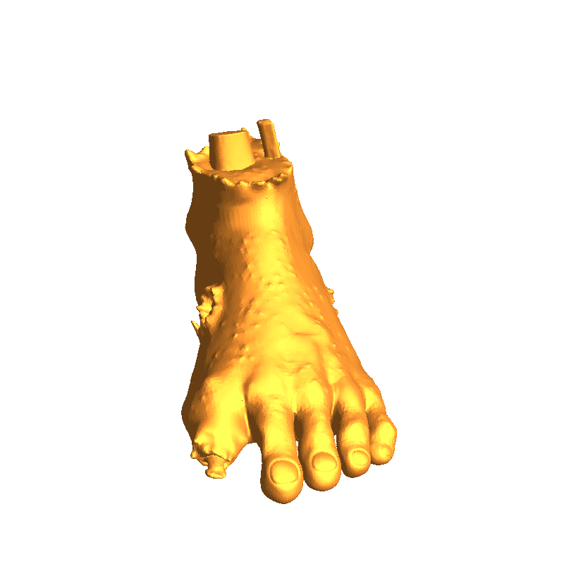 Halloween Bloody Foot 🦶🩸🎃