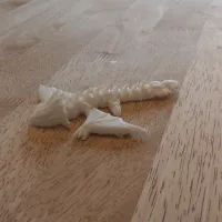Amphiptere Flexible Baby Dragon-1