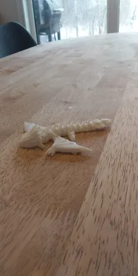 Amphiptere Flexible Baby Dragon-1