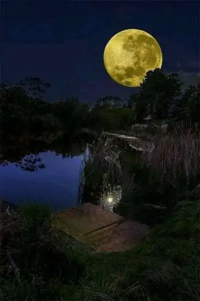 3D PRINTING  MOON MAKER