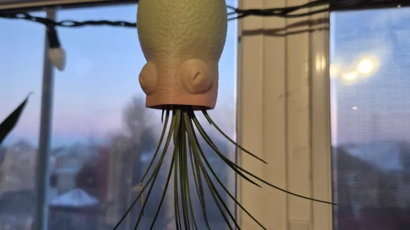HANGING OCTOPUS AIR PLANT HOLDER | 3D models download | Creality Cloud