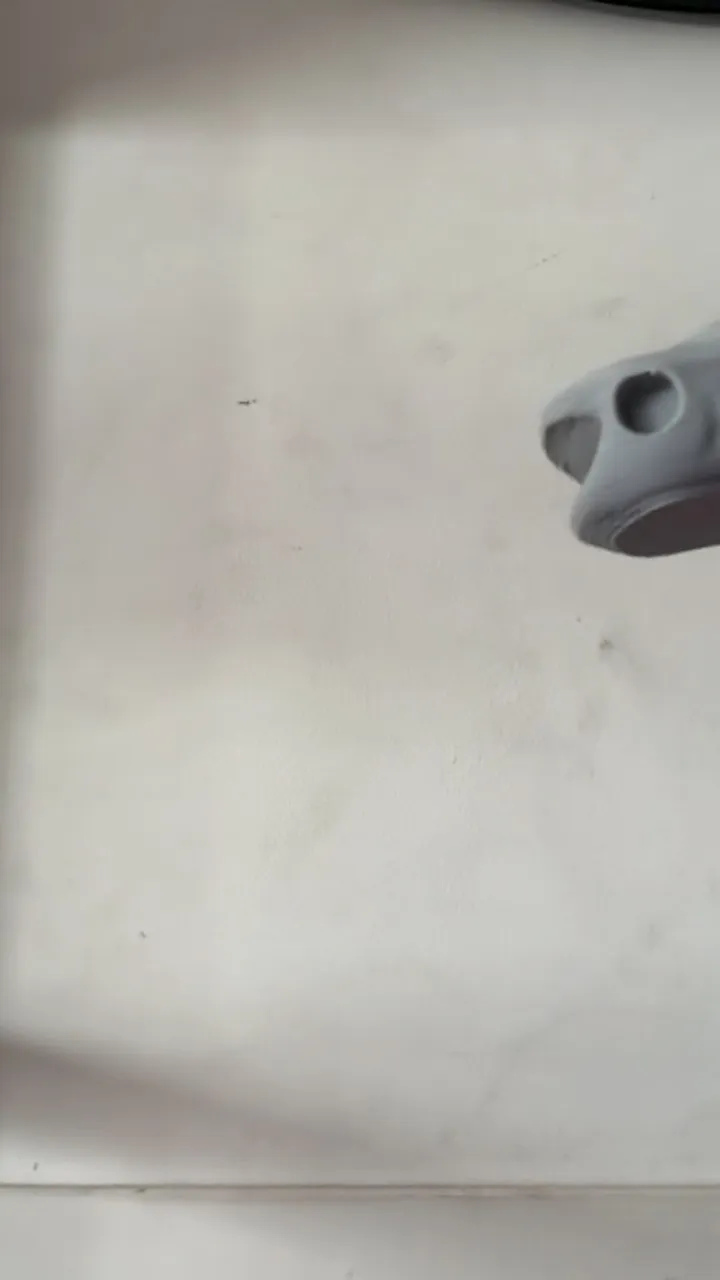 Shark-0