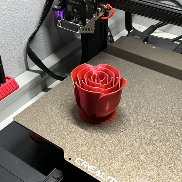 rose