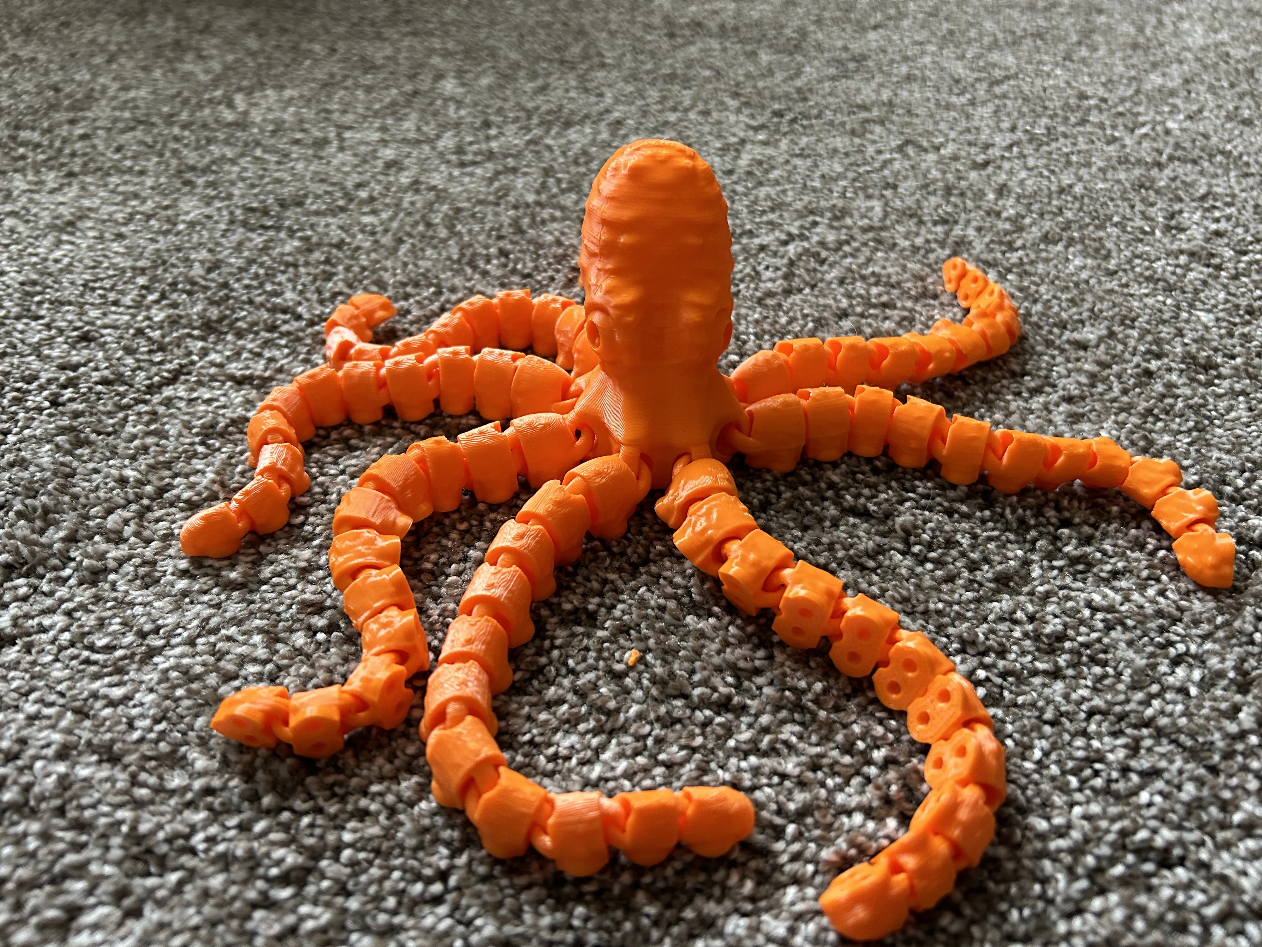 Octopus and Juvenile-0