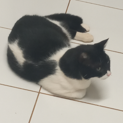 avatar of Fred______