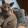 avatar of Bříňax