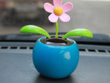 The body of the dancing flower-0