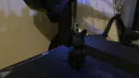 Bunny benchy-4
