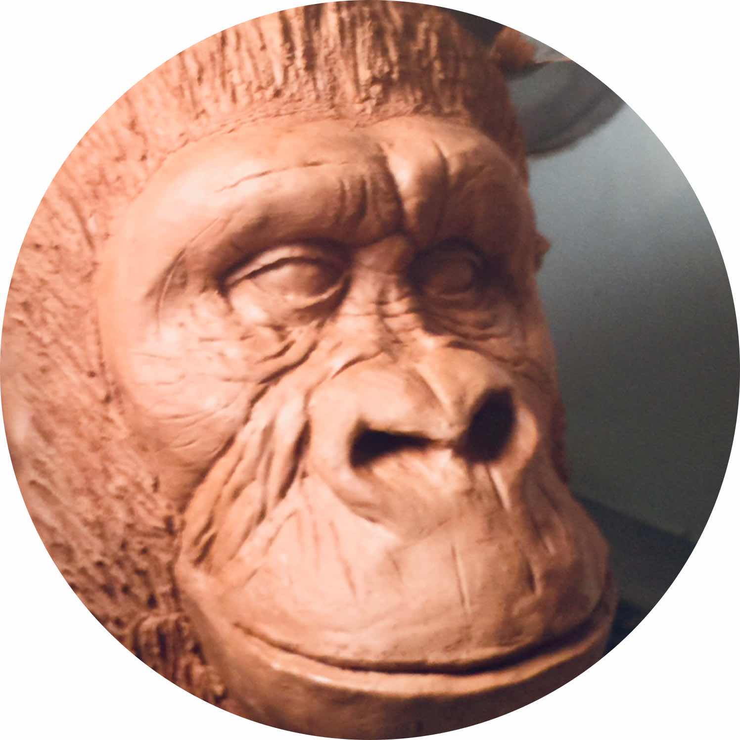 avatar of user4667649099