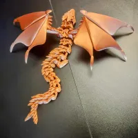 Silver Dragon-0