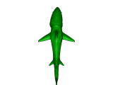 shark-0