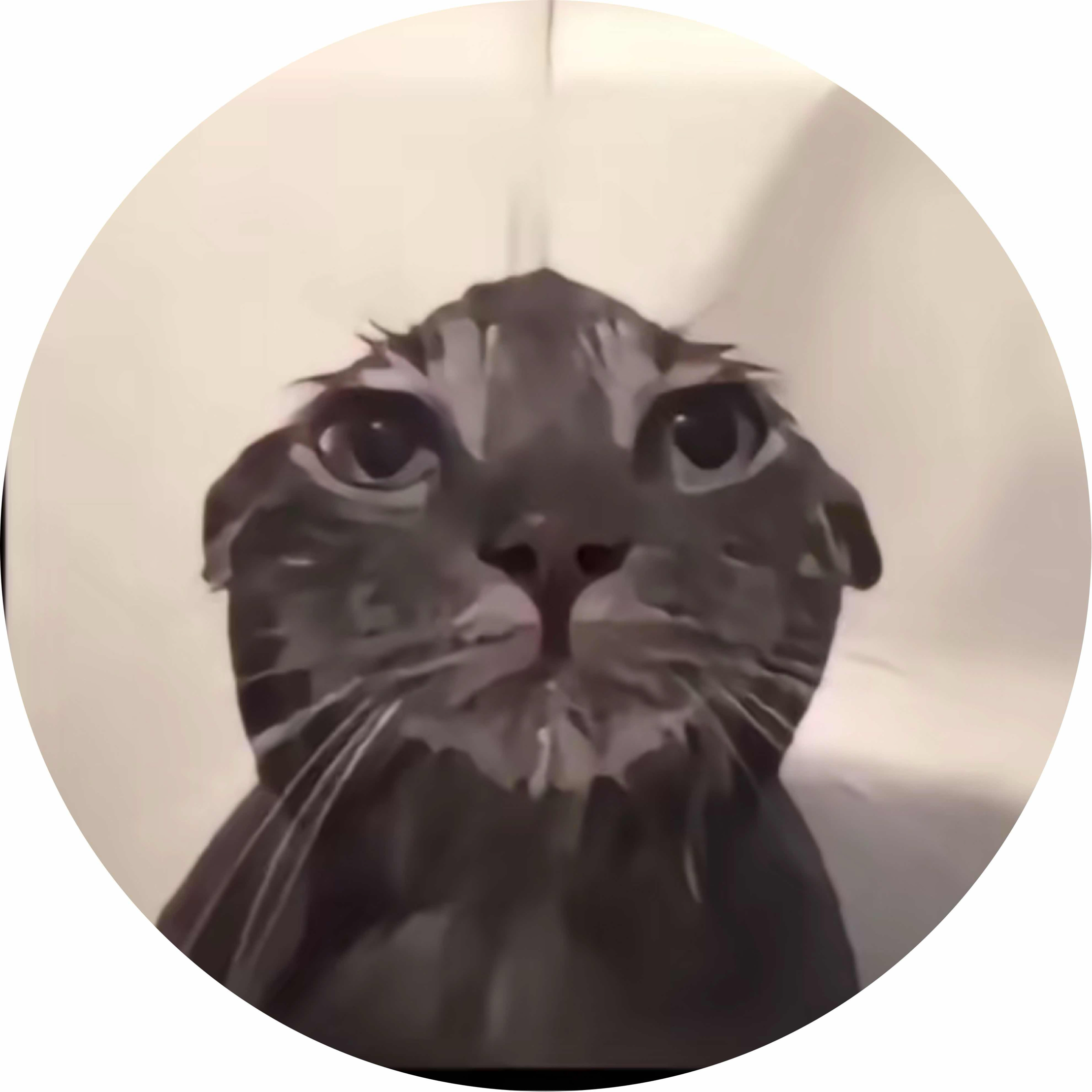 avatar of KING0609