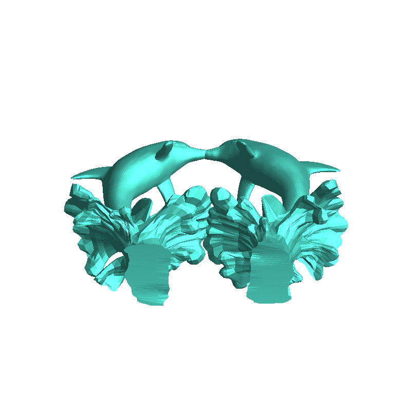 Dolphins