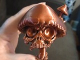 Mushroom Guy -0