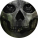 avatar of Stubearsinthewoods