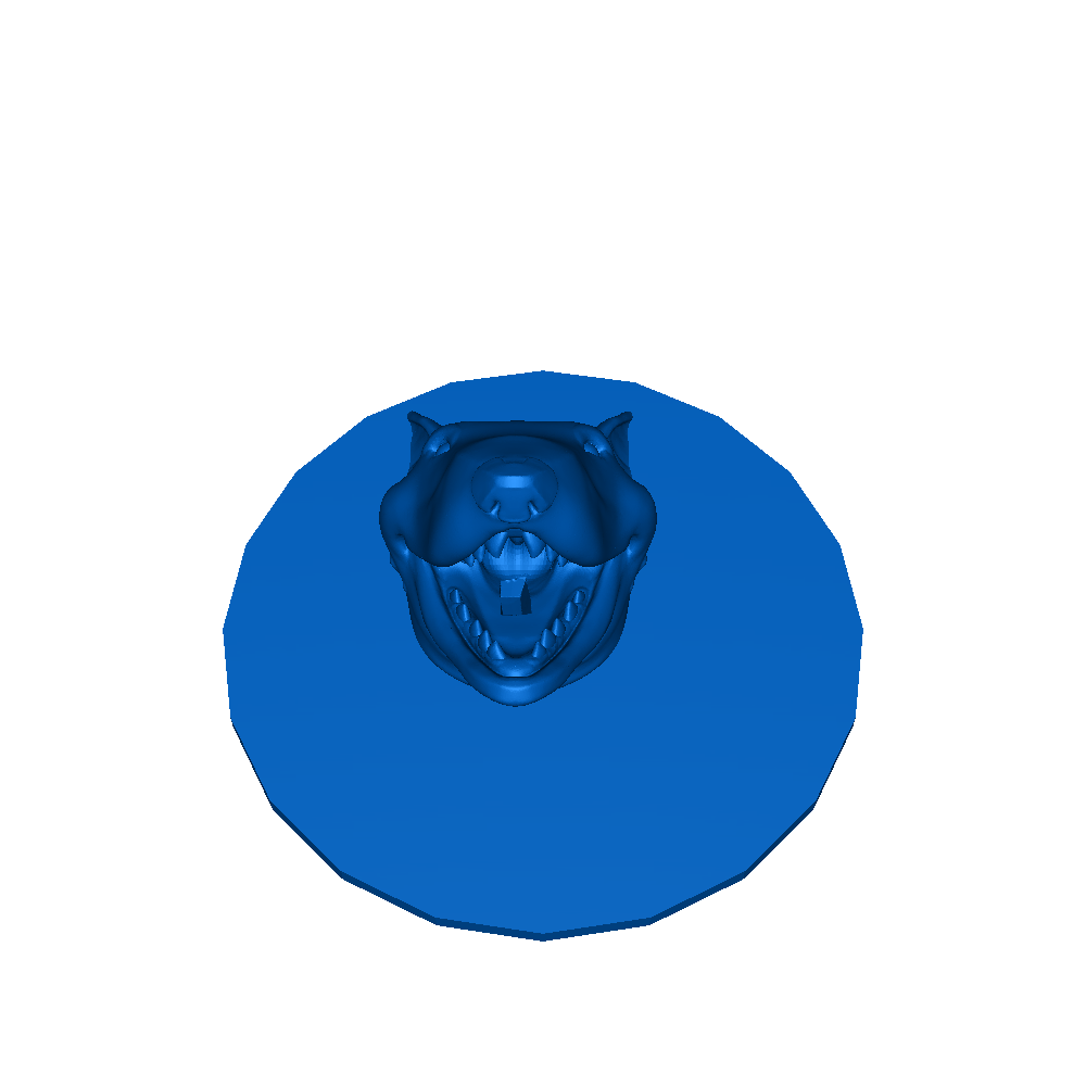 bull terre 