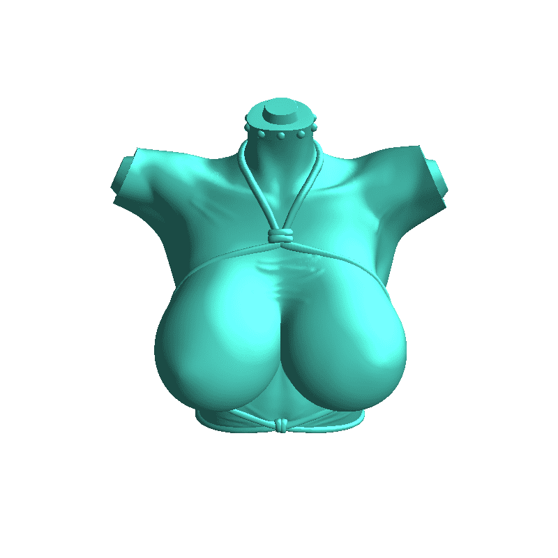 PIN-UP BANDAGE V2