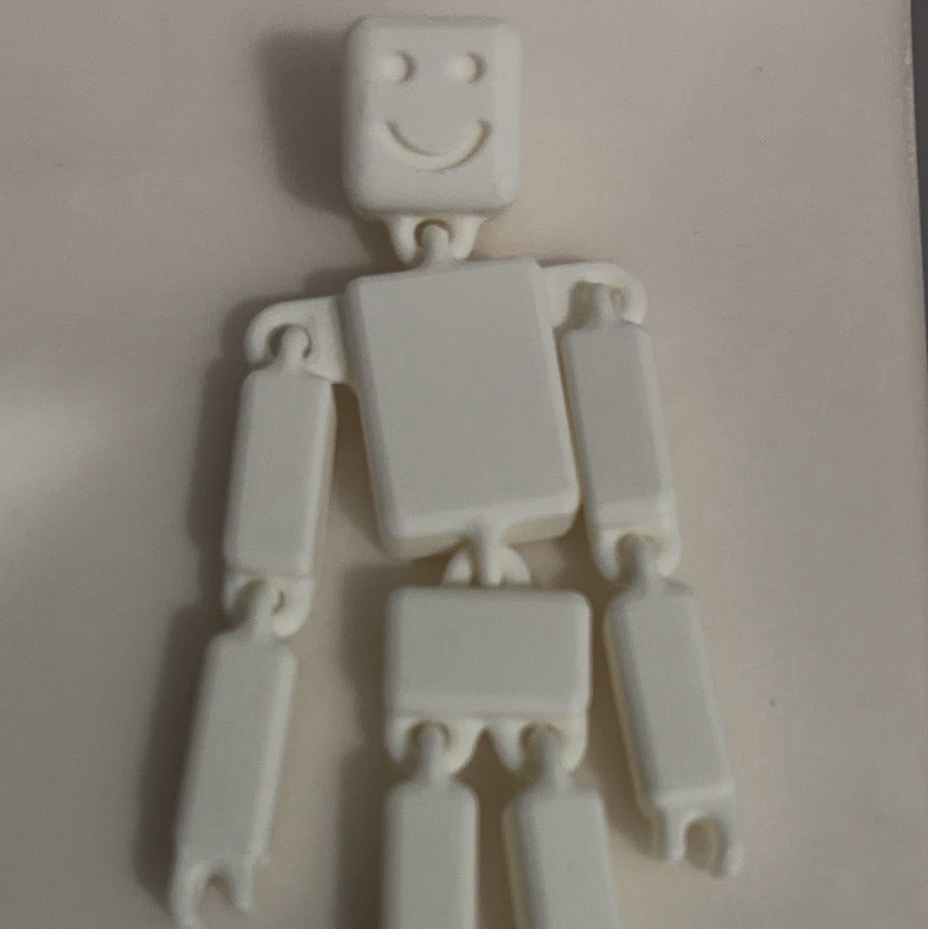 A fun little ragdoll to play with!