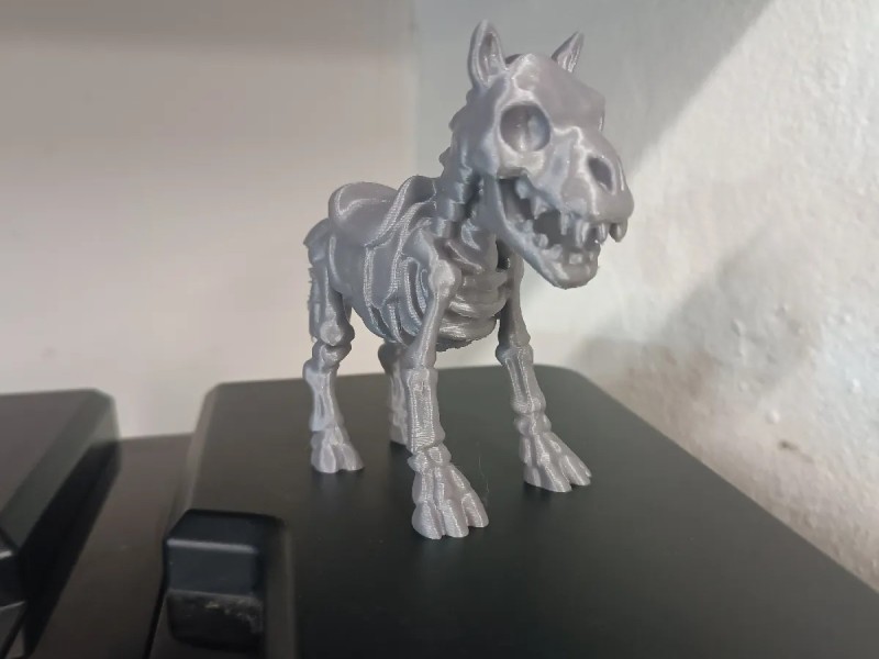 skeletpaard " krull "