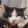 avatar of лёвчик