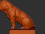american bully sentado -4