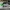 Adaptador Festool