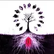 poeskoppe