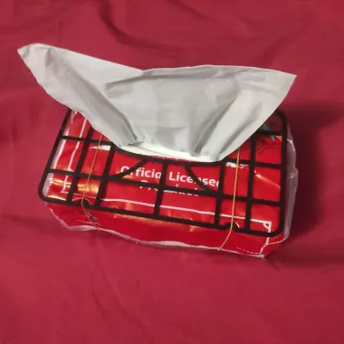 Vase mode tissue boxes-1