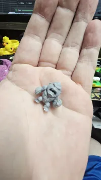 Tiny angry Kong-1